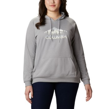 Dámské Mikiny Columbia Logo French Terry Plus Size Šedé CAZKYD103